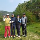 금강센테리움(주) 네이버블로그