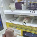 대호 오락실 이미지