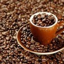 수정헬스클럽 이미지