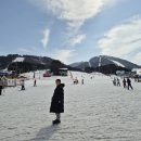 용평리조트 이미지