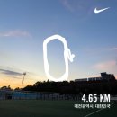 승민애견 | 삶은? 계란입니다