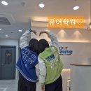 삼숭초 이미지