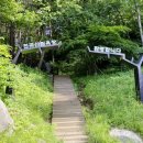 해오름 유아숲체험원 이미지