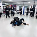 팀지니어스 신흥 이미지