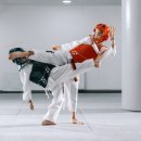 수림효태권도장 이미지