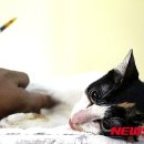 오류동물병원 이미지