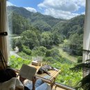 스테이결 이미지