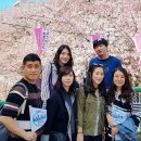 윌커뮤니케이션즈 | [일본여행] 도쿄 시나가와 벚꽃 명소 나카메구로와 롯폰기 힐즈, 아자부주반 메밀소바 맛집 사라시나호리이