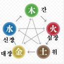 미래여행사주 - 논산시 중앙로 397 | 미래여행사주