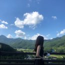 솔펜션 별관 | 양양 여행 | 양리단길 솔게스트하우스 양양 서핑 바베큐 펍파티 리얼 후기 + 양양 셔틀버스, 양리단길 카페