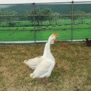 신기루농장 이미지