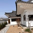 배동스테이 이미지