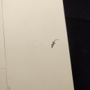 션샤인호텔 이미지