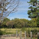 (주)하이제라네트웍스 | [25.10.20 - 25.10.26] 귀찮아 죽겠다 주간일기