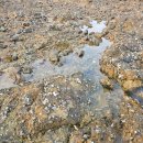 송죽가헌 이미지