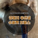 [보미의 일상] 수의사가 직접 참여한 강아지 유산균 ‘슈퍼벳 오퍼스’ 후기
