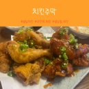 치킨주막 - 성북구 종암로21길 75 | 성남동치킨 맛집 치킨주막 모란점 닭다리 3개에 청양고추 킥까지 완벽했던 후기!