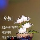 긴급 속보입니다 이미지