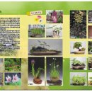 들꽃사랑 이미지