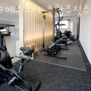 파라에스트라 이미지