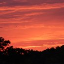 봉담세탁소 이미지