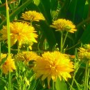 힐타운 공인중개사사무소 이미지