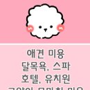 핑크펫샵 이미지