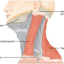 도약한의원 이미지