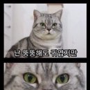 해뜰날횟집 이미지