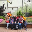 서원동-46 이미지