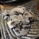 대경스포츠센터 이미지