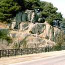 영주가흥리암각화 이미지