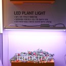 정광전기조명