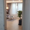 새울공인중개사사무소 이미지