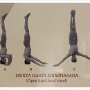 묵타요가 이미지