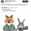 주디