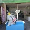 효원농장 | 🇹🇼 노랑풍선 대만 타이중 &amp; 타이베이 3박 4일 가족 해외여행 패키지 4일차 후기(2025.12.31.~2026.01.04.)