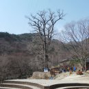 용문사문화원