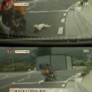 (주)백구