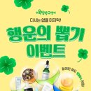 옥탑방고양이 이미지