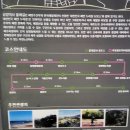 올래 18코스 완주 이미지