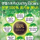 엔젤스토리 이미지