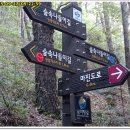 숲속나들이길 이미지