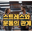 진해헬스 모도리 피트니스 이미지