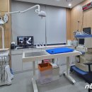 로얄동물암치료센터 이미지