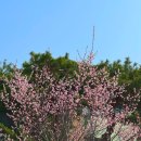 파랑새화장품 | 2026.03.19-28. 난 찌루찌루의 파랑새를 알아요~