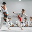 태권도연구방법 이미지