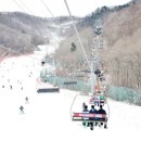 반딧불주유소 이미지