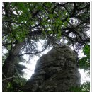 하봉선착장 이미지