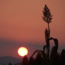 당신이 있어 좋은세상 이미지